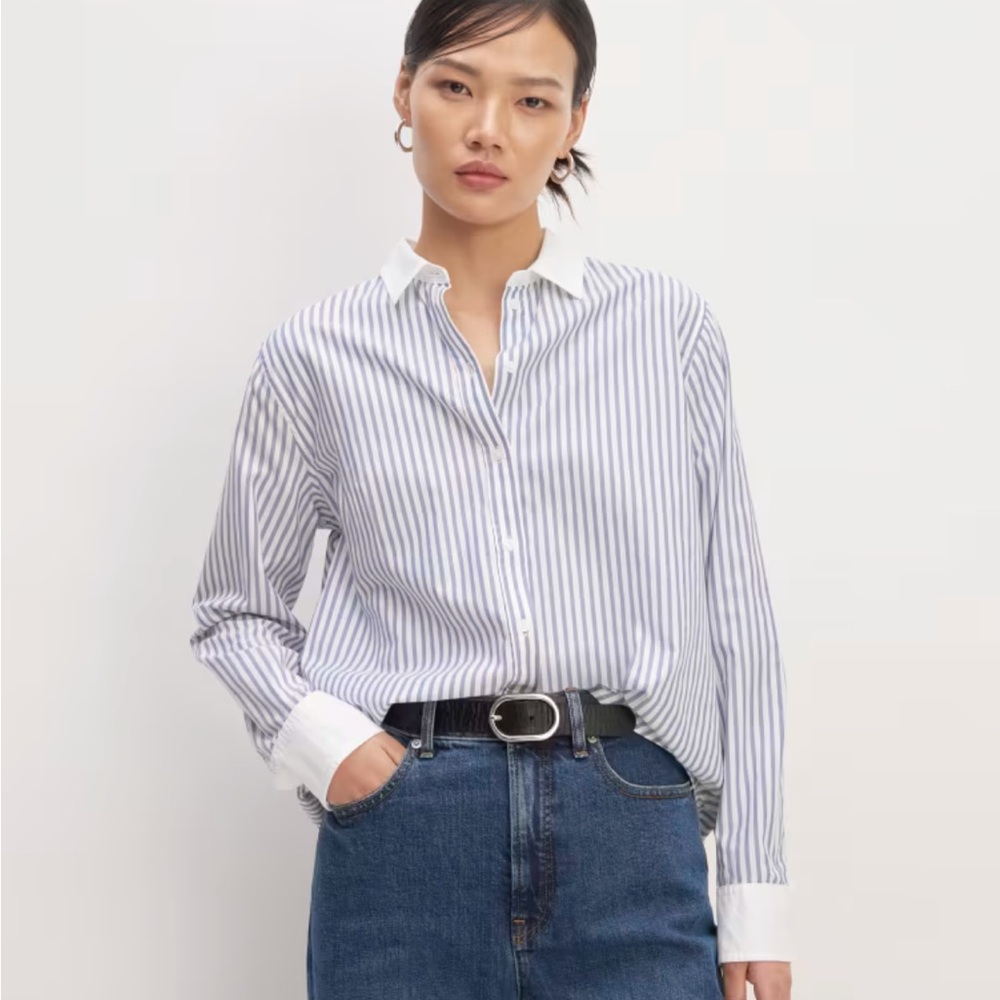 Everlane pinstripe Silky Cotton Relaxed button down shirt
